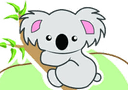 Little Koala