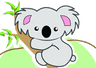 Little Koala